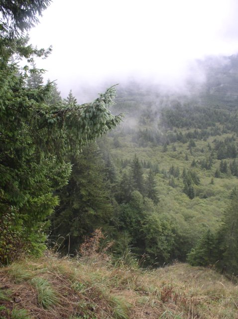 Saddle Mountain Oct 9 2005 017 